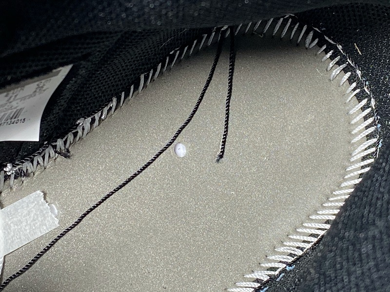 Air Jordan 1 CRIMSON TINT